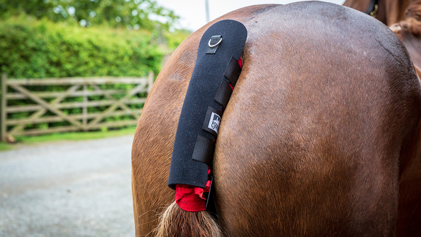 Eskadron tail guard for horses