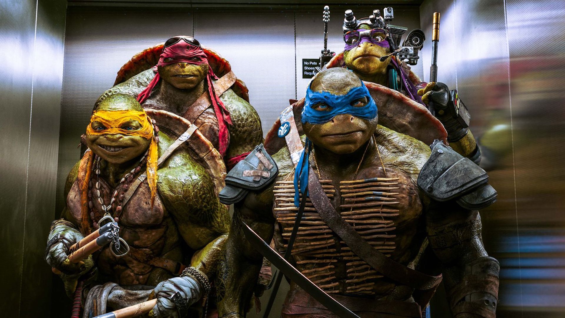 Seth Rogen's Teenage Mutant Ninja Turtles Movie Reboot Sets Summer 2023  Premiere