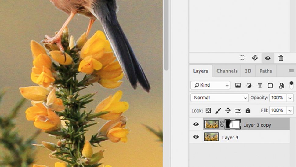 How to flip a layer in Photoshop: A complete guide | Creative Bloq