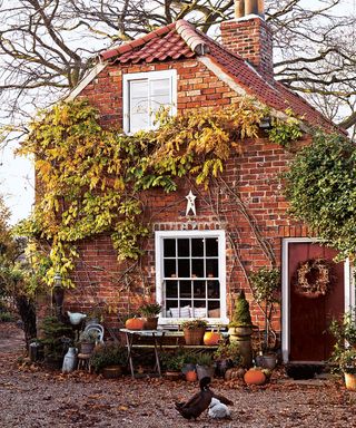 Create curb appeal halloween decorations on house