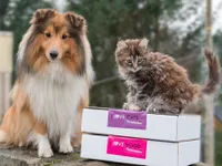 Poteklubben Poteklubben