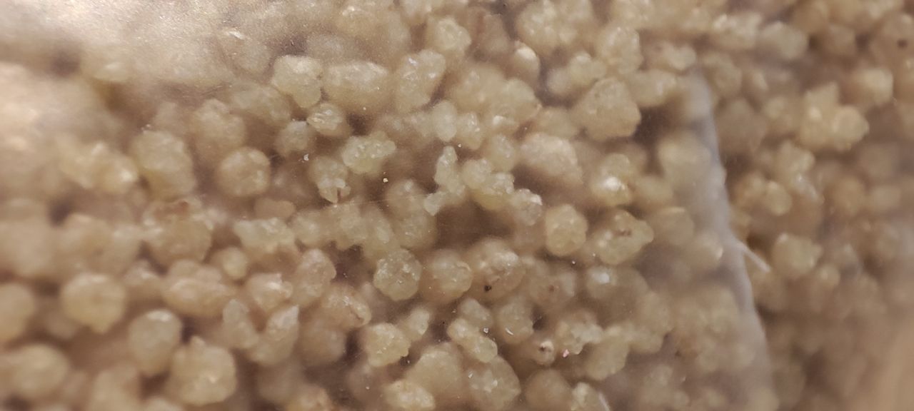 Xiaomi Mi 11 camera sample