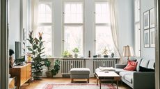 Interior of empty apartment. Plants and furniture at home. Television set in living room