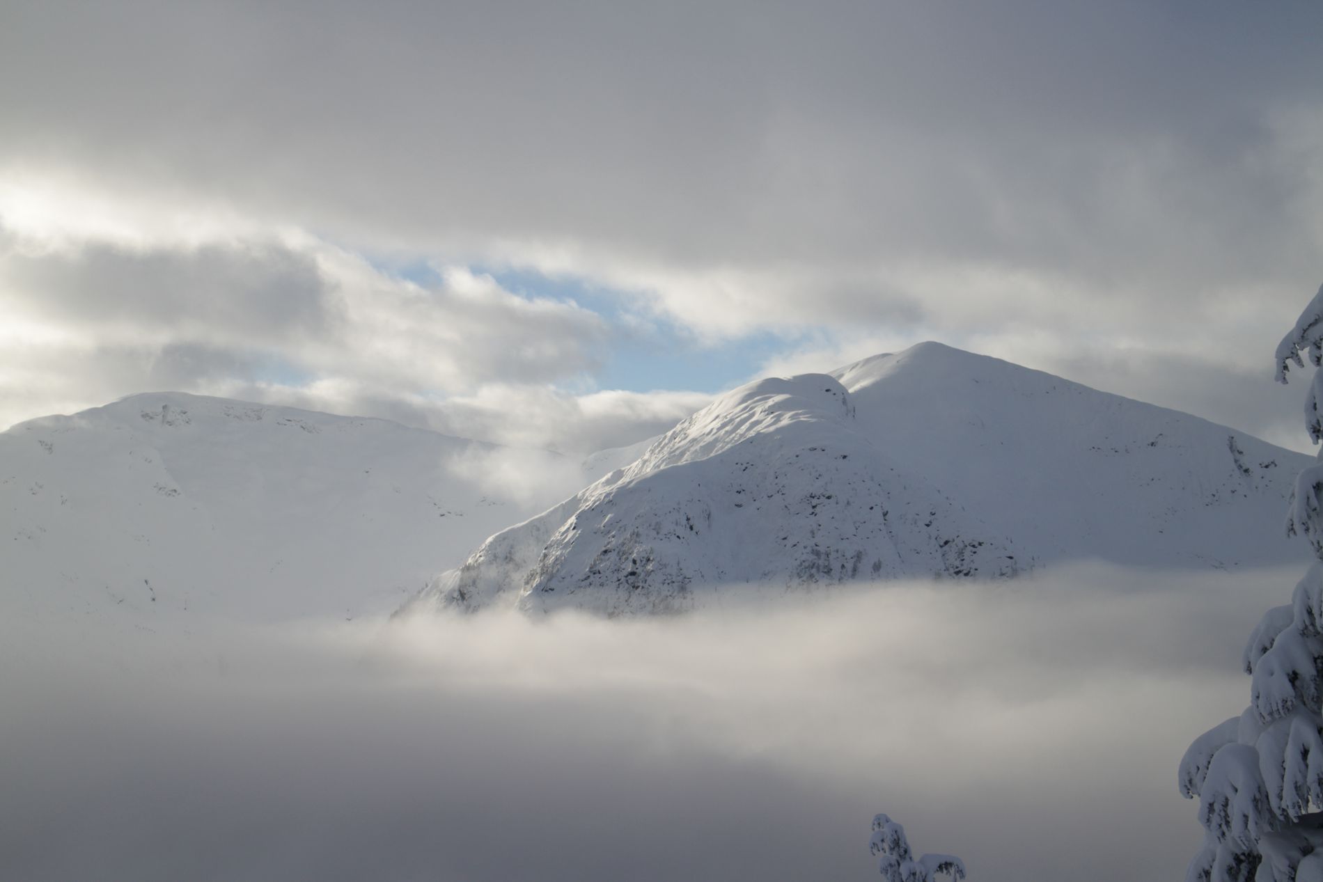 GuruShots - Mostly White October 2025