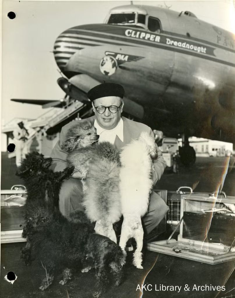 Count Alexis Pulaski sits in front of a Pan Am Clipper aeroplane holding several toy poodles, including Masterpiece, as he prepares to depart for Cuba.