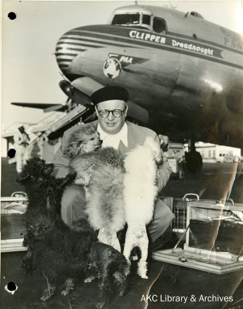 Count Alexis Pulaski sits in front of a Pan Am Clipper aeroplane holding several toy poodles, including Masterpiece, as he prepares to depart for Cuba.