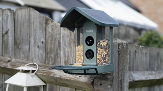A Beako AI 4K smart bird feeder