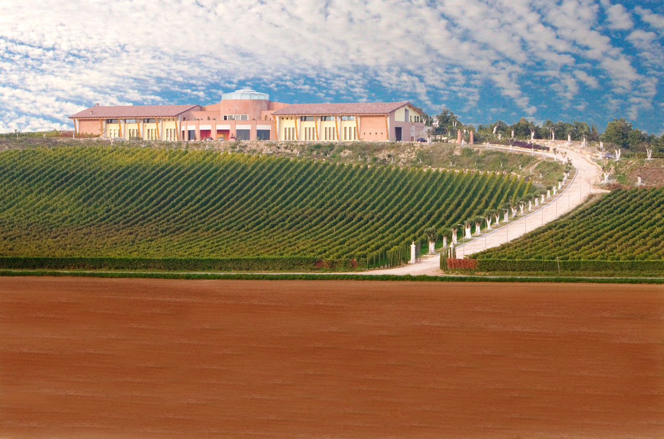 Vigna-e-cantina-Perla-del-Garda