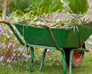 wheelbarrow full of clippings from tidying garden
