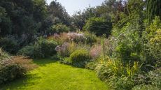 A cottage garden border featuring shrubs and perennials