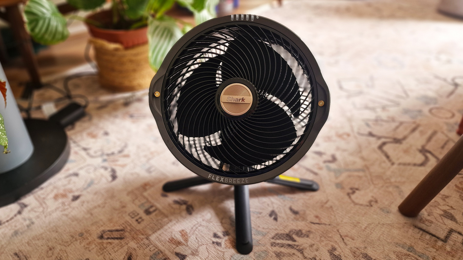 Shark FlexBreeze fan in a colorful living room