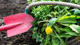 basket of weeds and red trowel