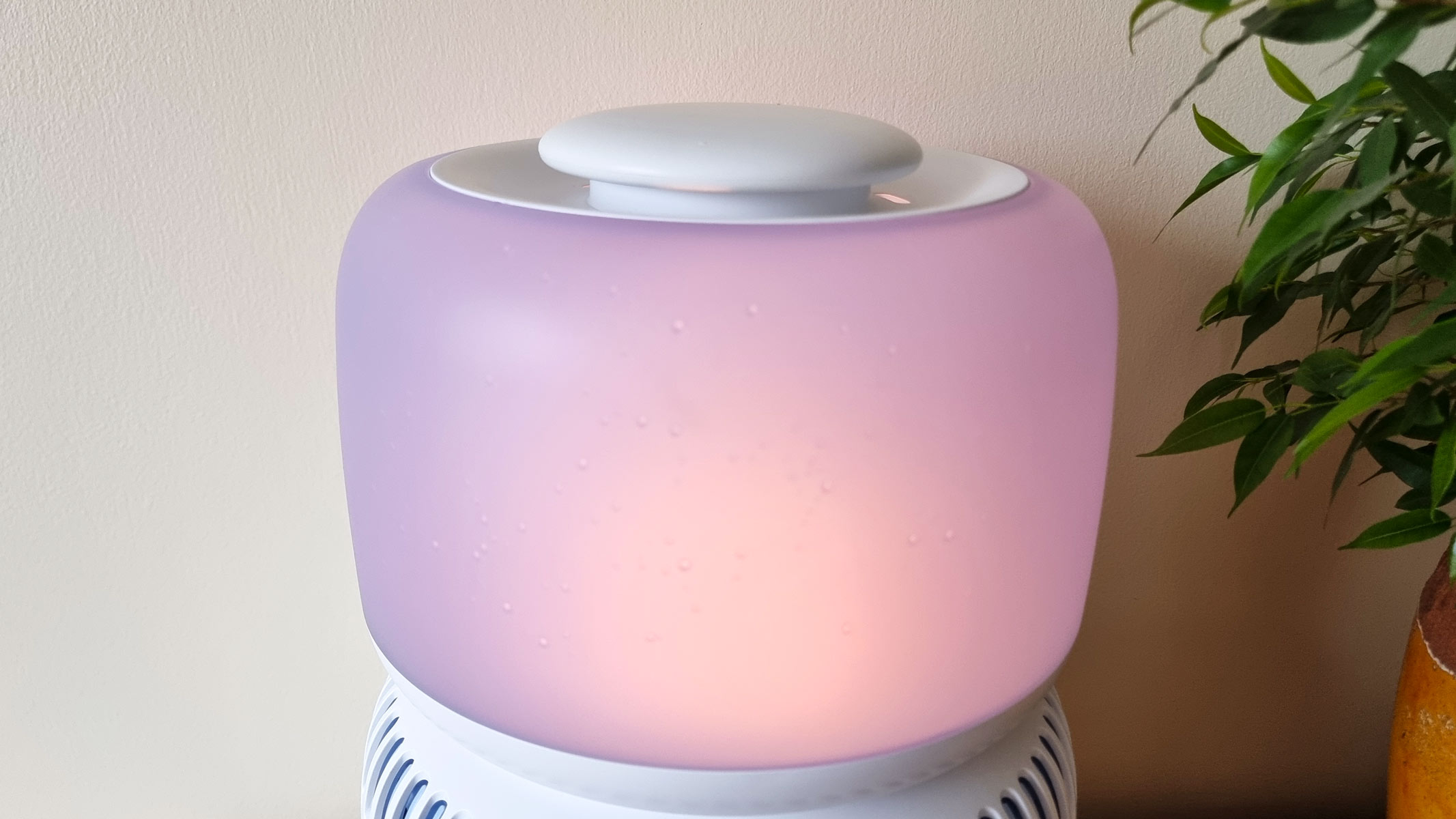 a close-up picture of the glowing water tank in the Levoit Sprout Evaporative Humidifier