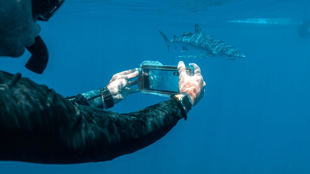 Oceanic+ Dive Housing in use underwater