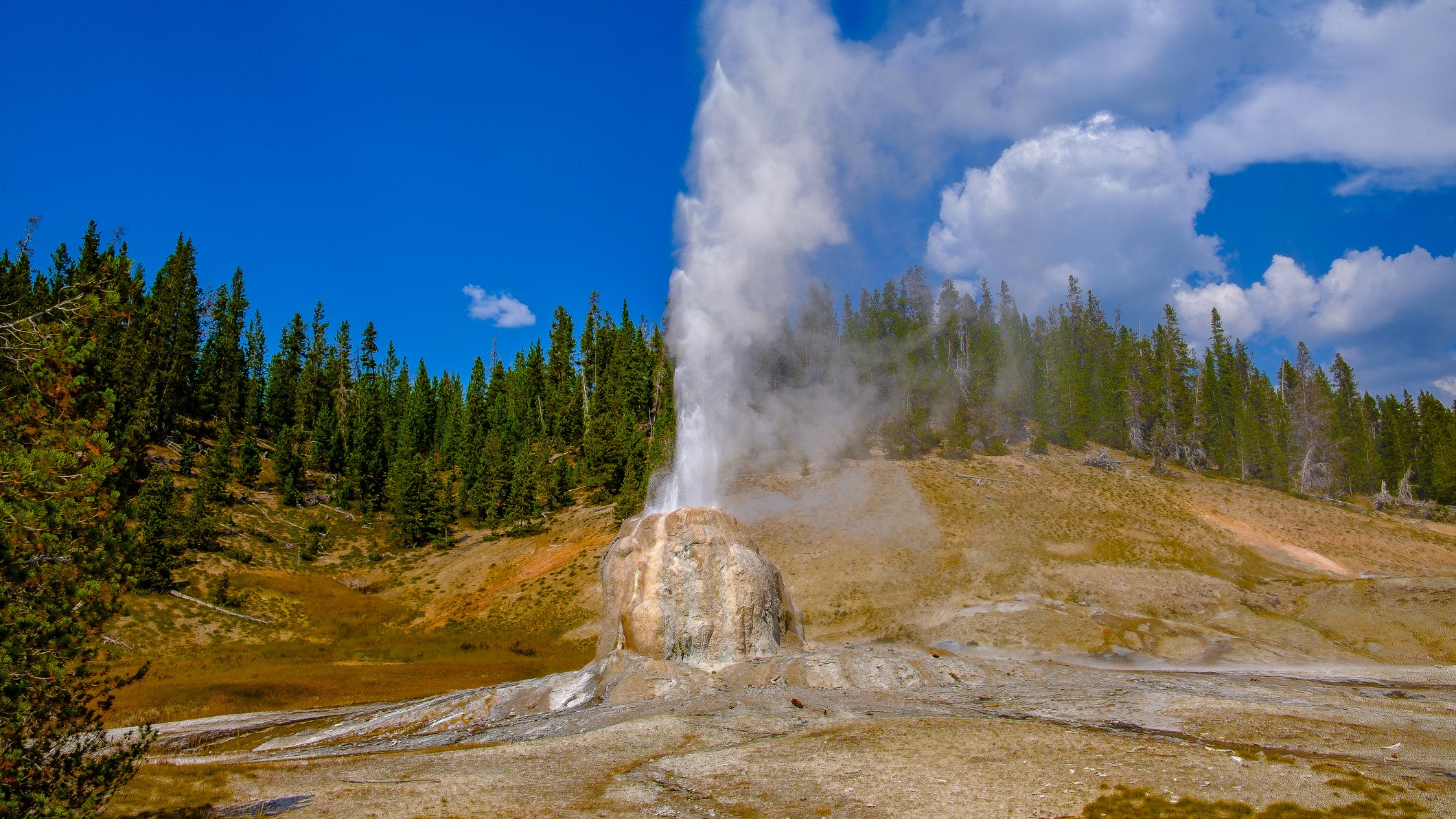 An eruption of steam at Lone Star Geyser in Yellowstone National Park.