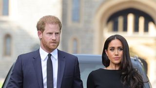 Harry and Meghan had many of their military titles removed after they gave up being working royals
