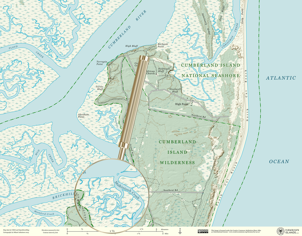 Hidden loggerhead sea turtle on map