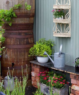 Garden area with upcycled barrels