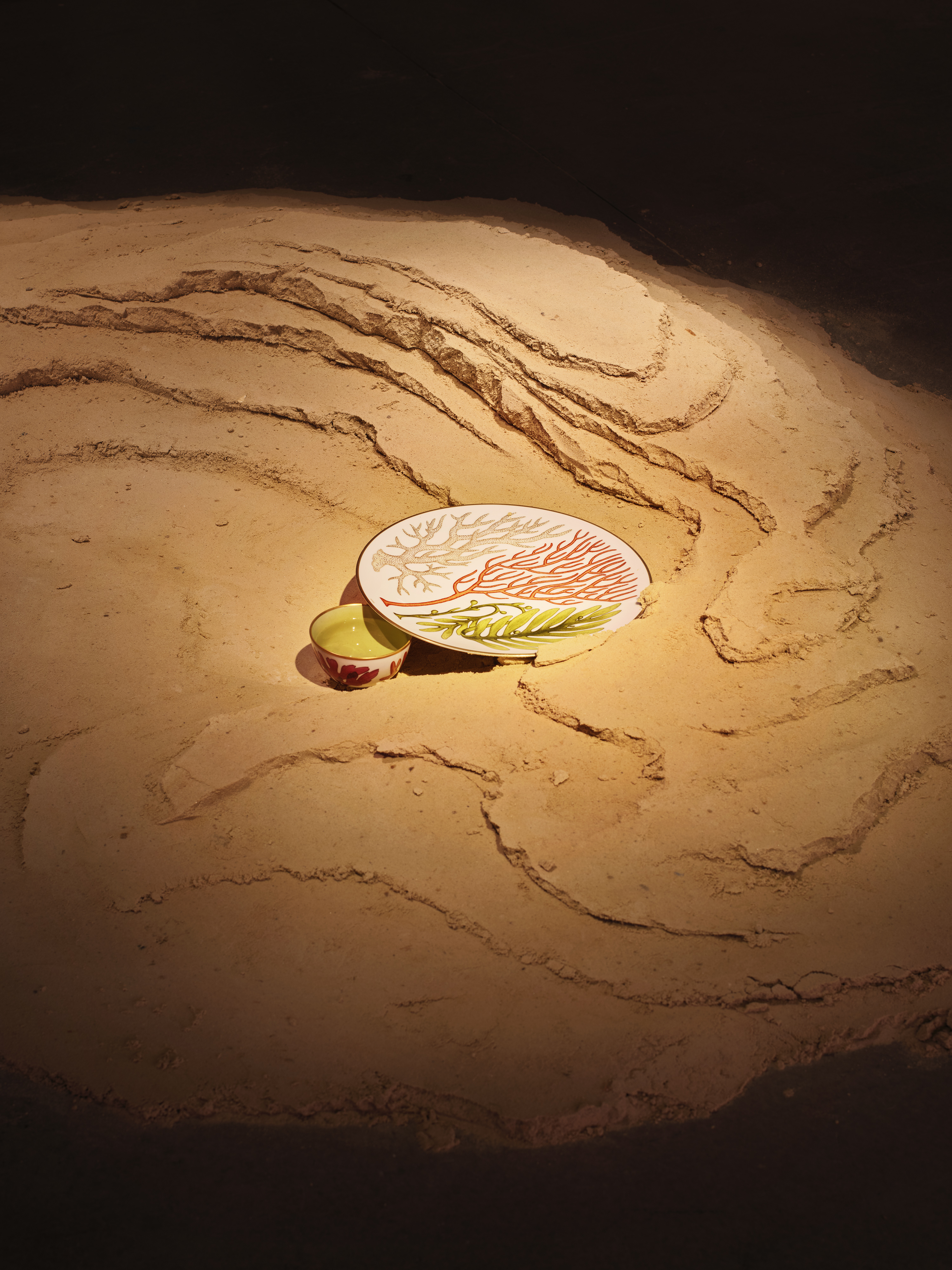 Hermes Tableware with botanical marine illustrations