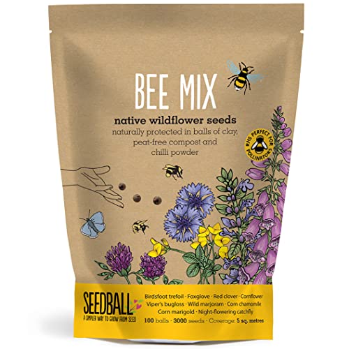 Seedball Bee Mix Seed Bombs - 100 Seed Balls Per Pack | Eco Friendly British Wild Flower Seed Mix for Bees &amp;amp; Garden Wildlife - Poppy, Chamomile, Cornflower, Corn Marigold &amp;amp; Night-Flowering Catchfly