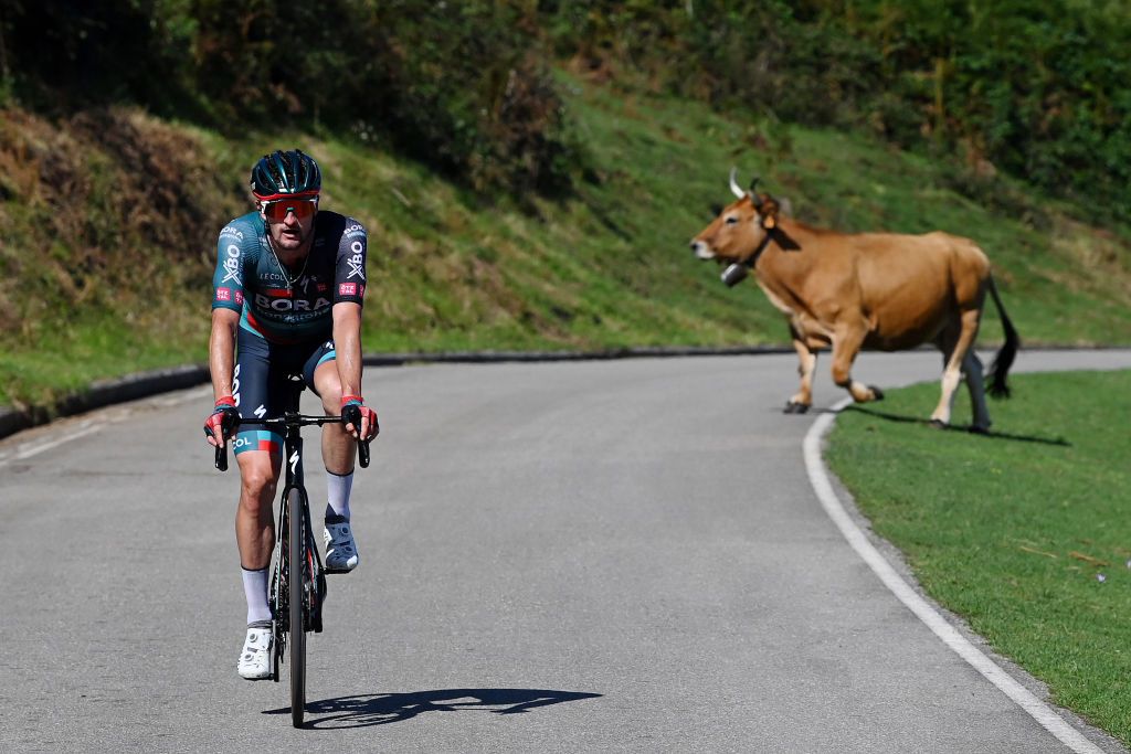 LACRUZDELINARES SPAIN SEPTEMBER 14 Nico Denz of Germany and Team BORA Hansgrohe competes during the 78th Tour of Spain 2023 Stage 18 a 1789km stage from Pola de Allande to La Cruz de Linares 840m UCIWT on September 14 2023 in La Cruz de Linares Spain Photo by Tim de WaeleGetty Images