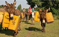 Brooke-Ethiopia.jpg
