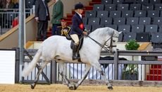 Stephanie Turner and Ravenstone Fudge II en route to claiming the 2026 Royal Windsor M&M ridden title