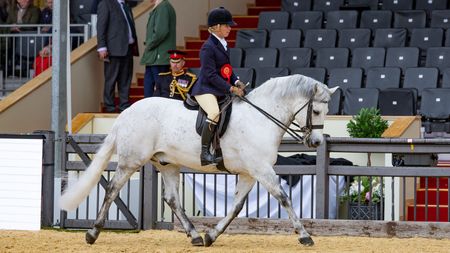 Stephanie Turner and Ravenstone Fudge II en route to claiming the 2026 Royal Windsor M&M ridden title