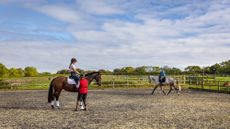 HAH00.lb_stockautumn21.Horses_for_sale_4R2A6222.jpg