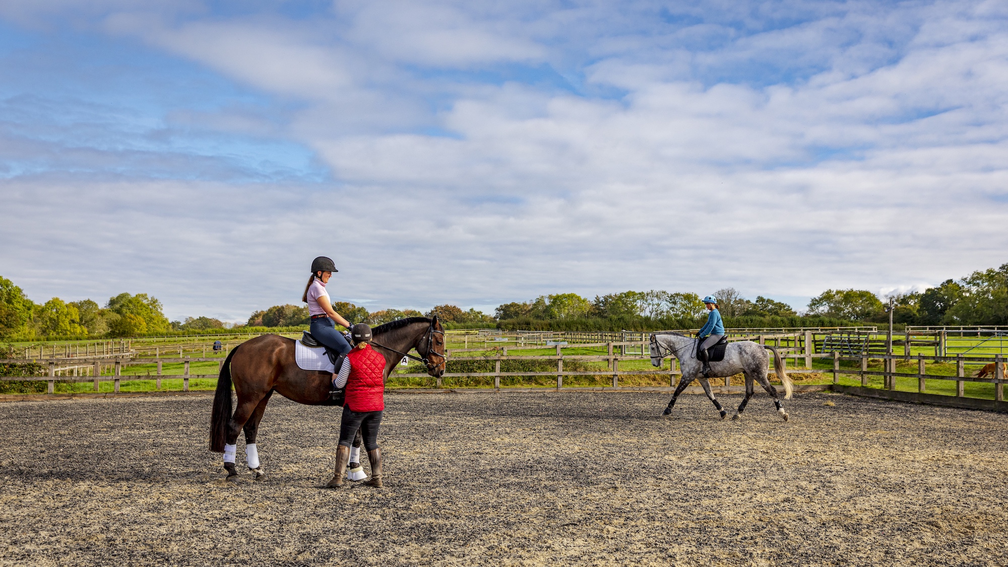 HAH00.lb_stockautumn21.Horses_for_sale_4R2A6222.jpg