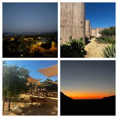 four part grid of photos from baja mexico of the desert landscape