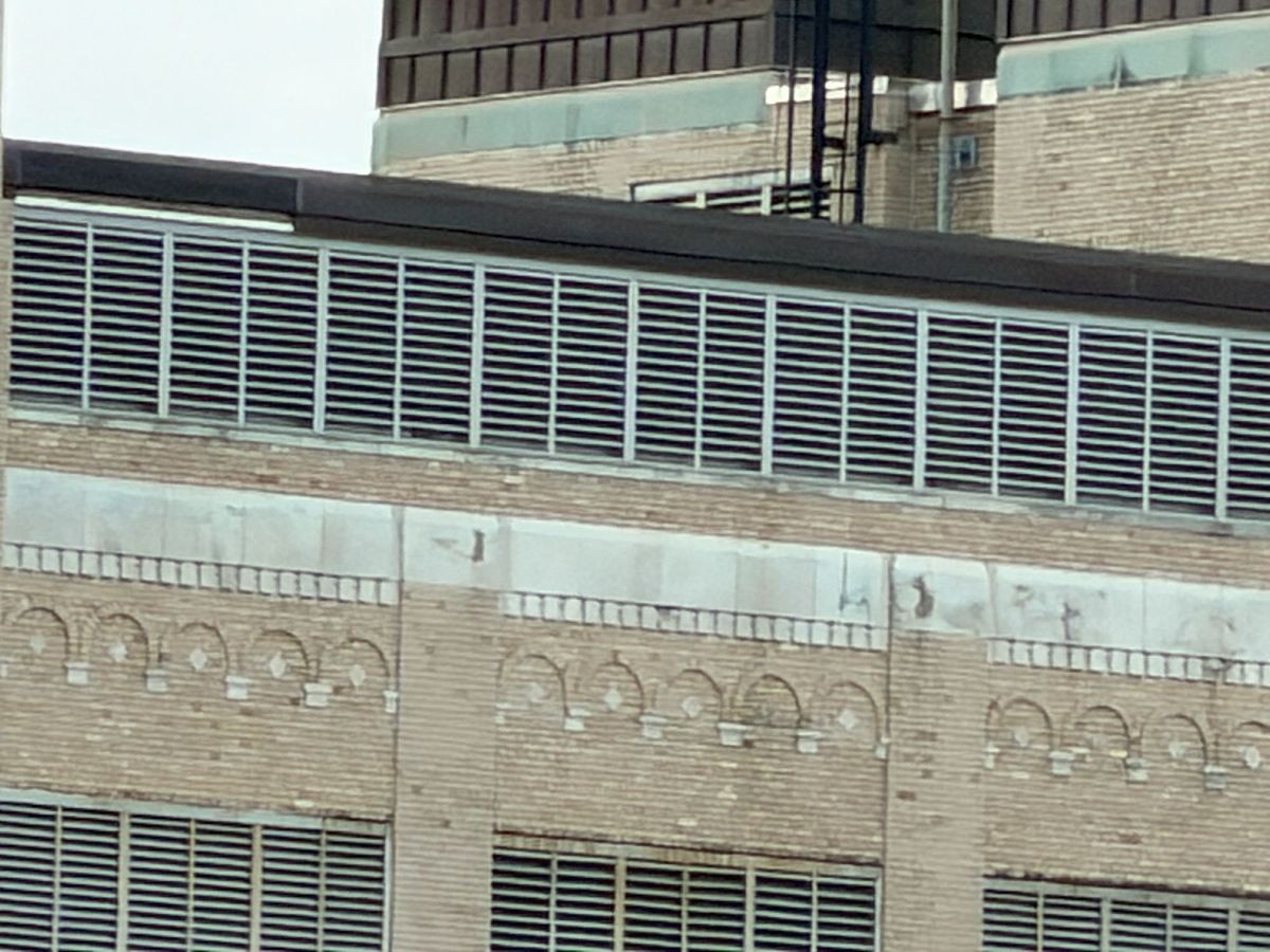 Apple iPhone 17 Pro Max zoom sample.