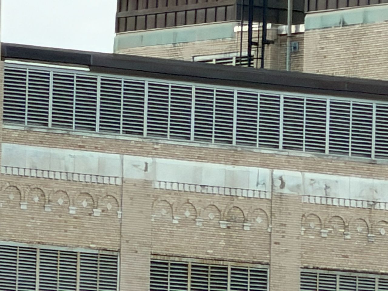Apple iPhone 17 Pro Max zoom sample.