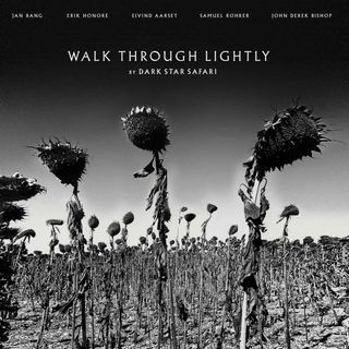 Dark Star Safari 'Walk Through Lightly' album artwork