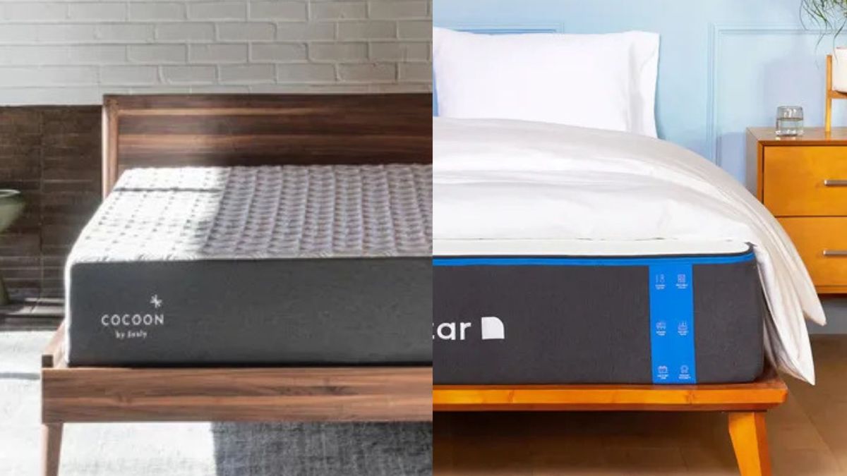 Ccoon by Sealy vs Nectar memory foam mattress