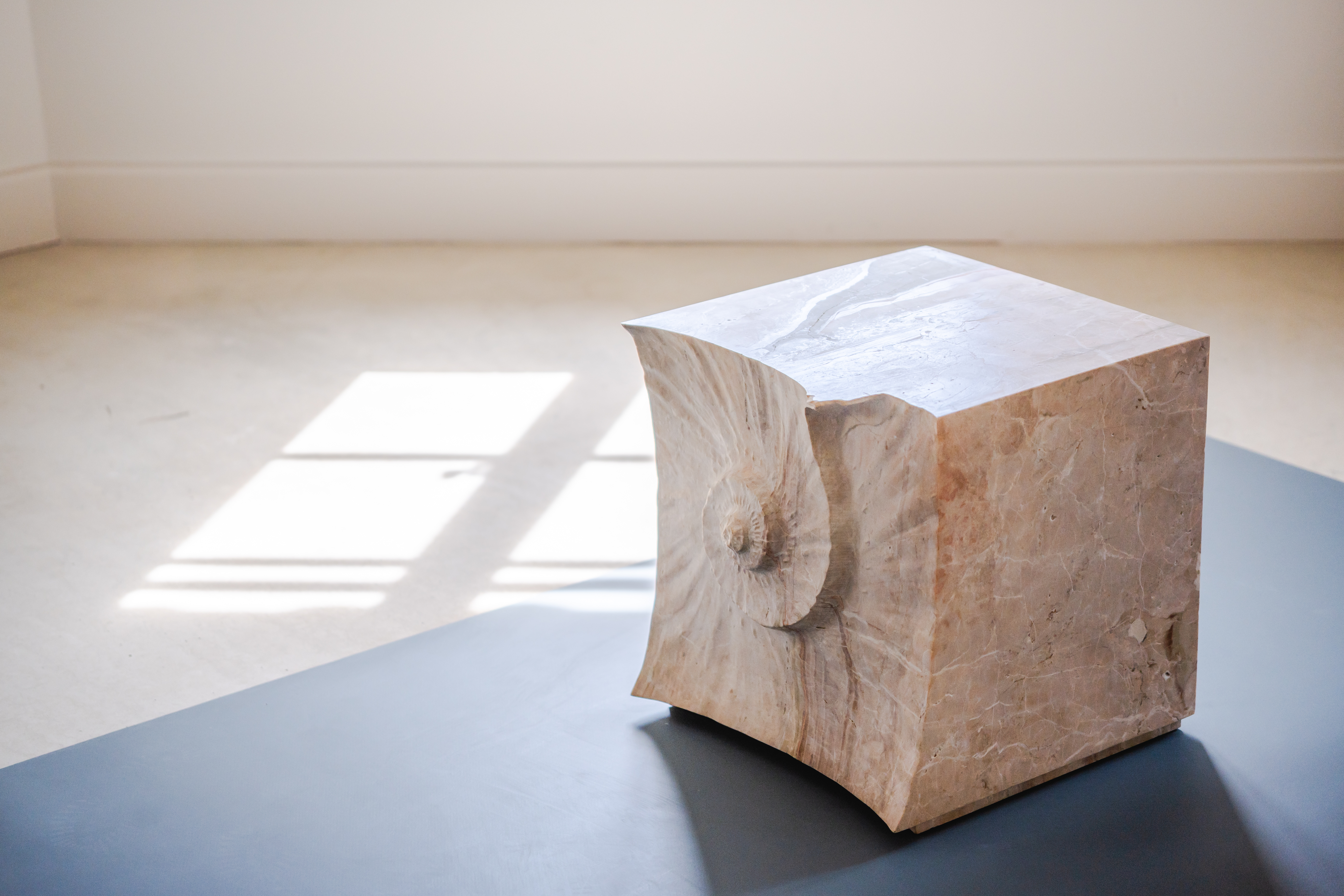 Furniture by Shaha Raphael inspired by seashells