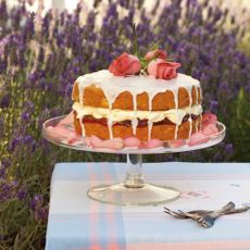 Cardamom rose and rhubarb cake photo