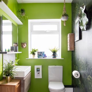 A bright green-painted cloakroom with a feature wall covered in a tropical wallpaper