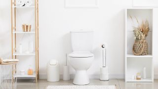 white bathroom room setting with toilet and shelving units