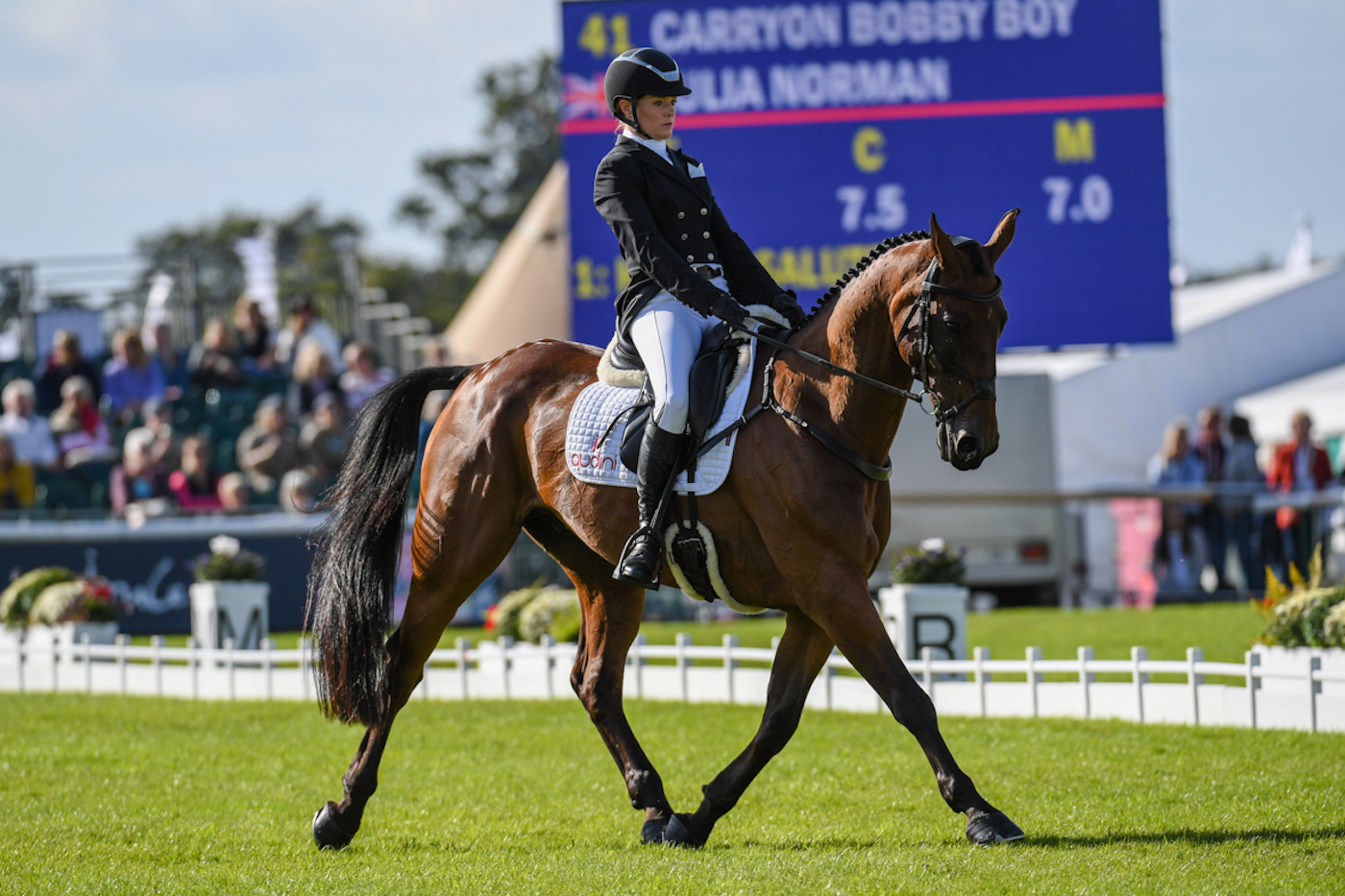 Julia-Norman_CARRYON-BOBBY-BOY_LRBHT_PN19_108465.jpg