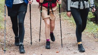 Legs of three women hikers