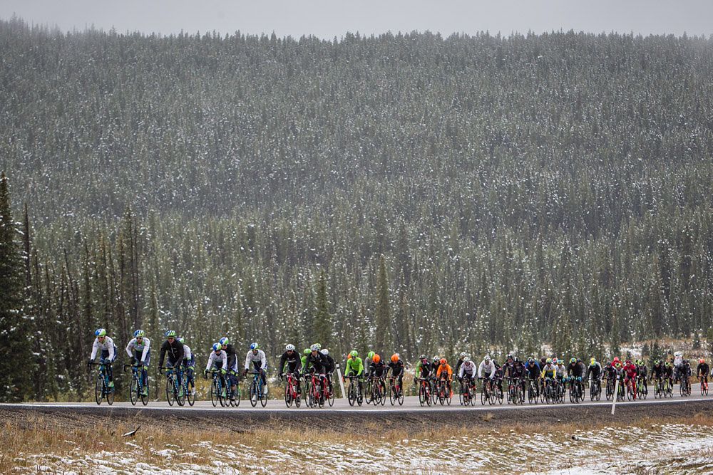 The peloton races along Hwy 40 toward Jasper National Park