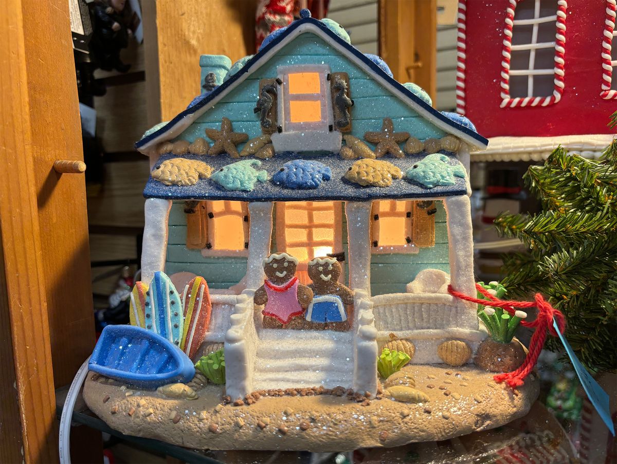 iPhone 15 vs Pixel 7 sample image
