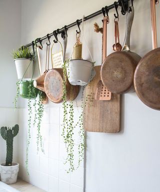 white walls with kitchen crockery and cactus in pot
