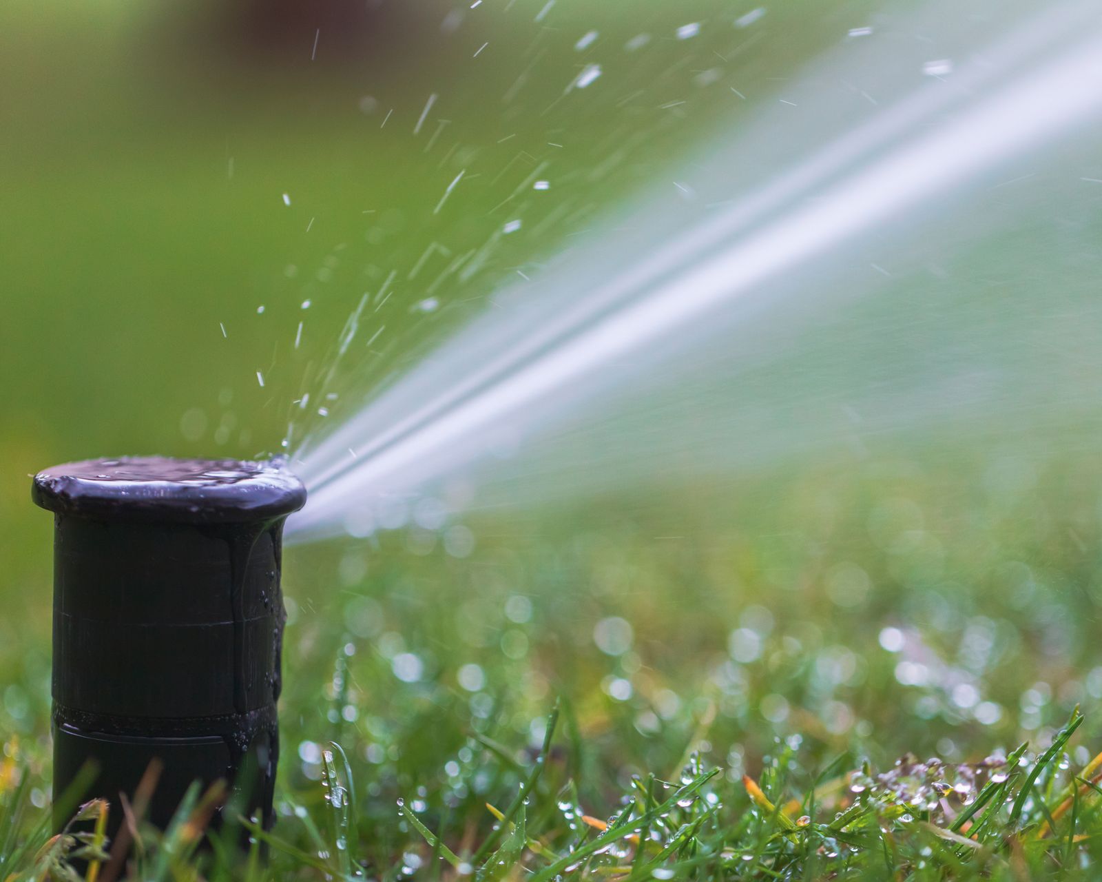 When to blow out sprinklers? Experts give their advice Gardeningetc