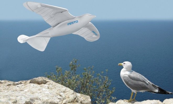 This seagull robot