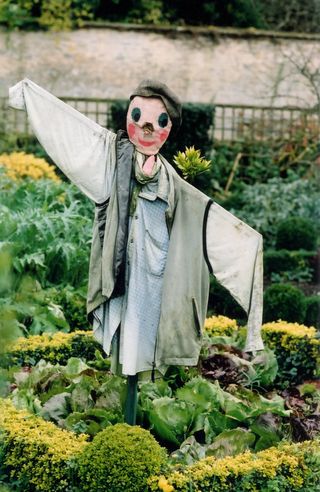 scarecrow in vegetable patch in how to grow lettuce
