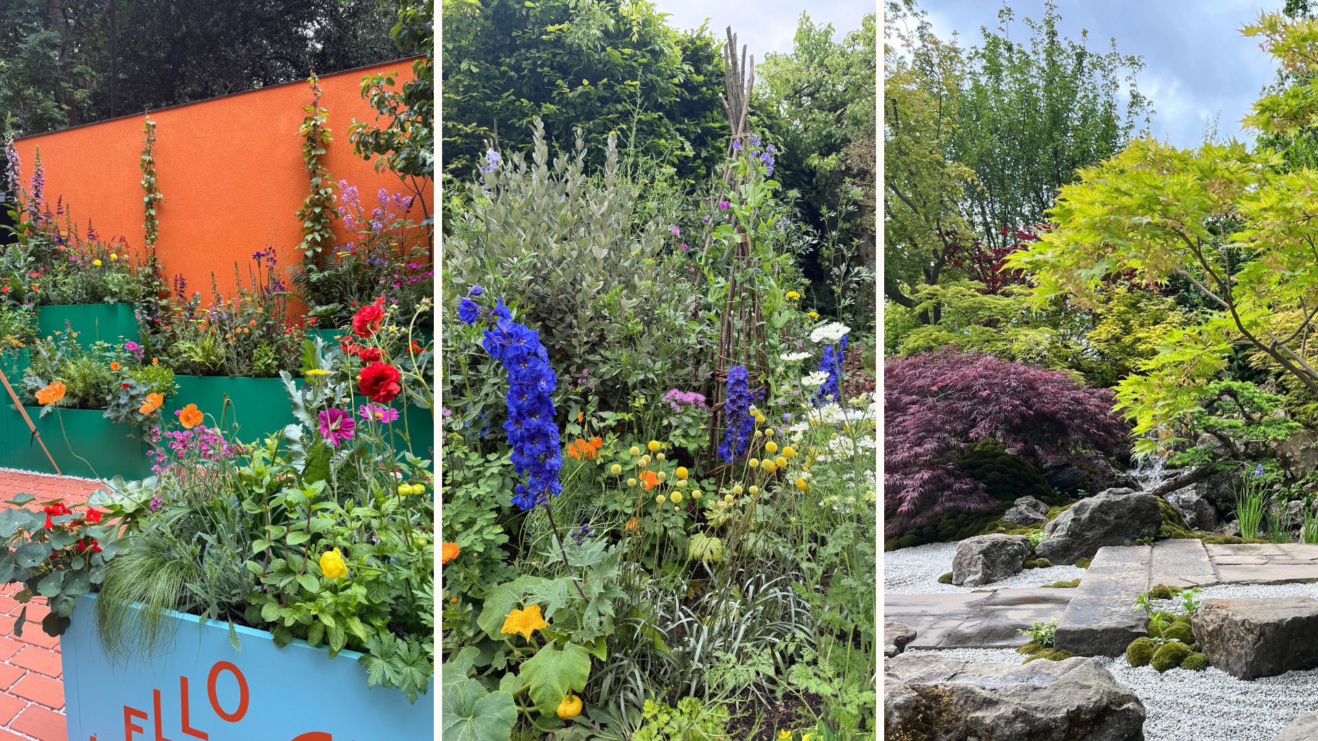 Collages of the best RHS Chelsea flower show 2026 gardens and takeaway trends