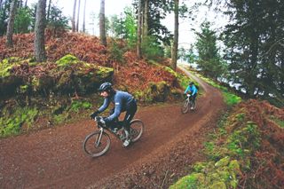 Gravel riders on a sweeping red track through the woods