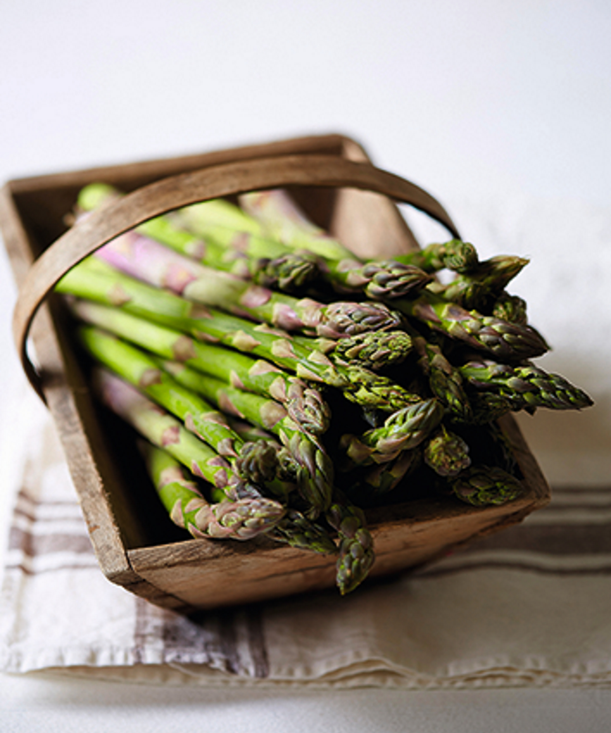 A wooden harvesting basket is filled with fresh asparagus spears
